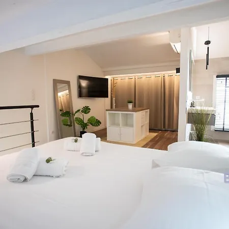 Appartamento Duplex Contemporain En Bord De Ac Parking